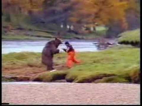 John West Bear Fight