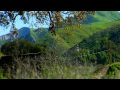Mat Rebeaud Racer X Films View Video