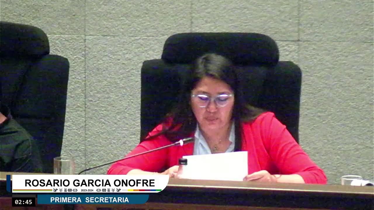 208a Sesión Ordinaria - 18/10/24
