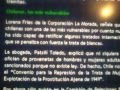 Chilenas en peligro
