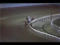 Niatross - Hollywood Park - American Pacing Classic 1980 Niatross - Hollywood Park - American Pacing Classic 1980