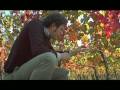 videos de Federico Giotto 
