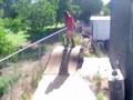 Skatebording
