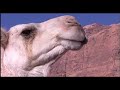 American Bedouin - 01 Jun 07 - Part 2