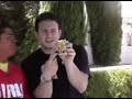 Vegas: Are You Kidding Me (Part 2)