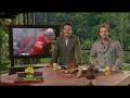 I'm a Celebrity 7_4-3