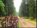 Bogor Botanical Garden