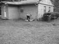 Fence crash