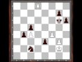 Chess Endgame: Pullin-Smarty