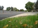 AMA Scooterists