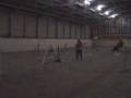 videos de Training Uschi und Blizz, 28.12.2008