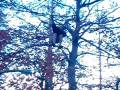 stupid stunt on the trampoline