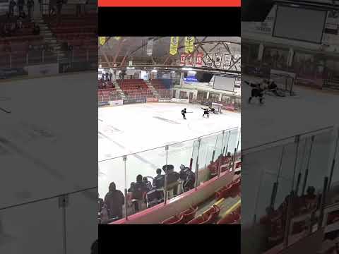 Short handed game winner