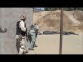 Simi Valley Jericho Airsoft MOUT Facility ~ Team WoF Simi Valley Jericho Airsoft MOUT Facility ~ Team WoF