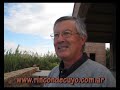 Elaboración de vinos en Bodega Merced del Estero