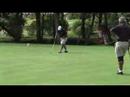 VE golf VE golf