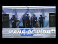 MANA DE VIDA