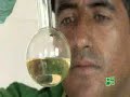 BIOMAX IN COLOMBIA - Voiced by Rene Figueroa S. BIOMAX IN COLOMBIA - Voiced by Rene Figueroa S.