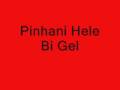 Pinhani   HelebigeL    �y Max   
