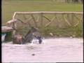 Three Day Event -- Thrills & Spills: water wipeouts
