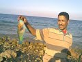 PhotoStory1 واحد من الناس