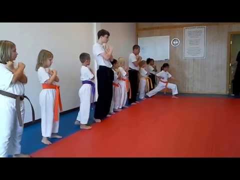 Hampton's Karate Academy - Blocks and Stances 01 