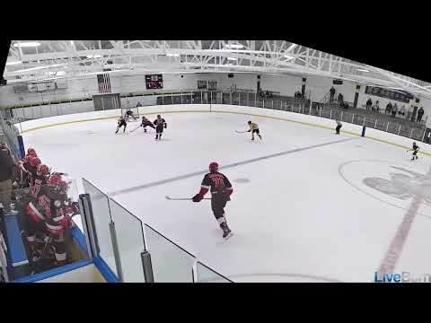 Poke check break away