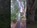 Lightning Strike Hits Tree! ⚡🌲 Caught On Camera#LightningStrike #CaughtOnCamera #TreeStrike