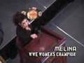 Wrestlemania 23 Press Conference NYC (My FanCam)