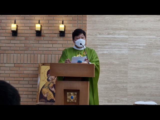 [л굿] 2021.11.13  33 ̹̻ Ǽ ʡ ̹