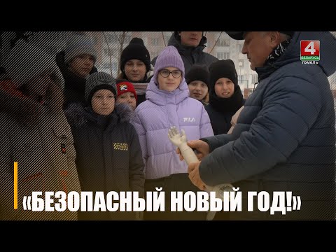 Работники МЧС проводят профилактическую акцию «Безопасный Новый год» на Гомельщине видео