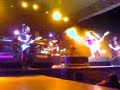 Pathetica Panda Live Vivo