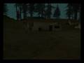 The Woods [Remake] - Trailer