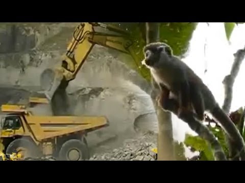San - They have been victorious twice before, but now they face an uneven battle to defend their water and natural environment, amid a government push for a higher...