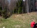 Lost-In paduri neumblate