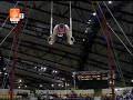Doha 08 F: Yuri Van Gelder (NED), Rings, 1st
