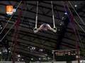 Doha 08 F: Yuri Van Gelder (NED), Rings, 1st
