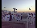 البقيع . المدينه المنورةأئمه البقيع عليهم السلام... قبر أم ابنين عليها السلام