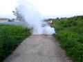 videos de kadet