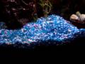 videos de Rocky Our Excavation Fish