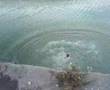 maryport diving comp