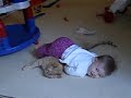 Baby Loves Kitty, A Lot