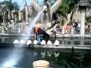 isdaan challenge