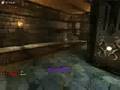 videos de UT2004 : 3 kills to darkpollo waiting the amp