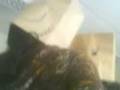 videos de cuento de sensaciones.3gp