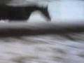 videos de Abby im Schneeeee