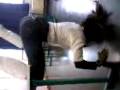 videos de Kellysha chiicana-kosso