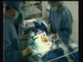 alcor foundation   cryonics   part c   ted williams  