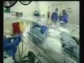 alcor foundation   cryonics   part c   ted williams  