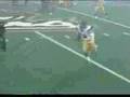 Reggie Bush Remix by ASIII23 